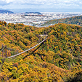 ほしだ園地「星のブランコ（吊り橋）」で絶景の紅葉空中散歩＆ららぽーと門真フリータイムでお買い物